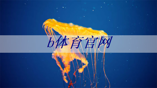 b体育官网入口：智能商显改变商场格局！创维科技开启数字化零售新时代！