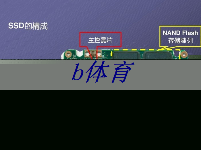 bsport:标题:小米SU7智驾“牛”人识别,国产芯片的自我修炼之路 bsport:标题:小米SU7智驾“牛”人识别,国产芯片的自我修炼之路